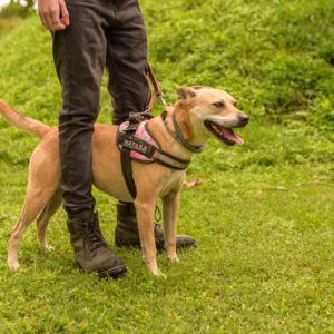 15_Ebarvahaz_fotozas (139 of 340)