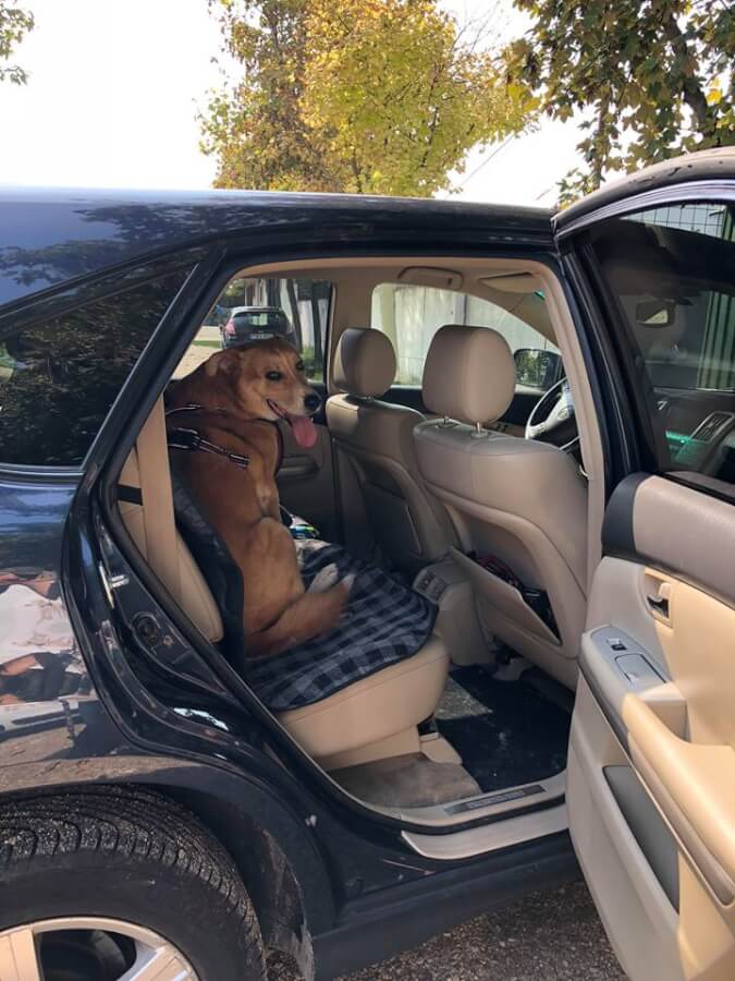 40524102_244191922904979_1753444106811473920_n