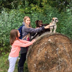 41907770_1121685121318373_1021487082918379520_n