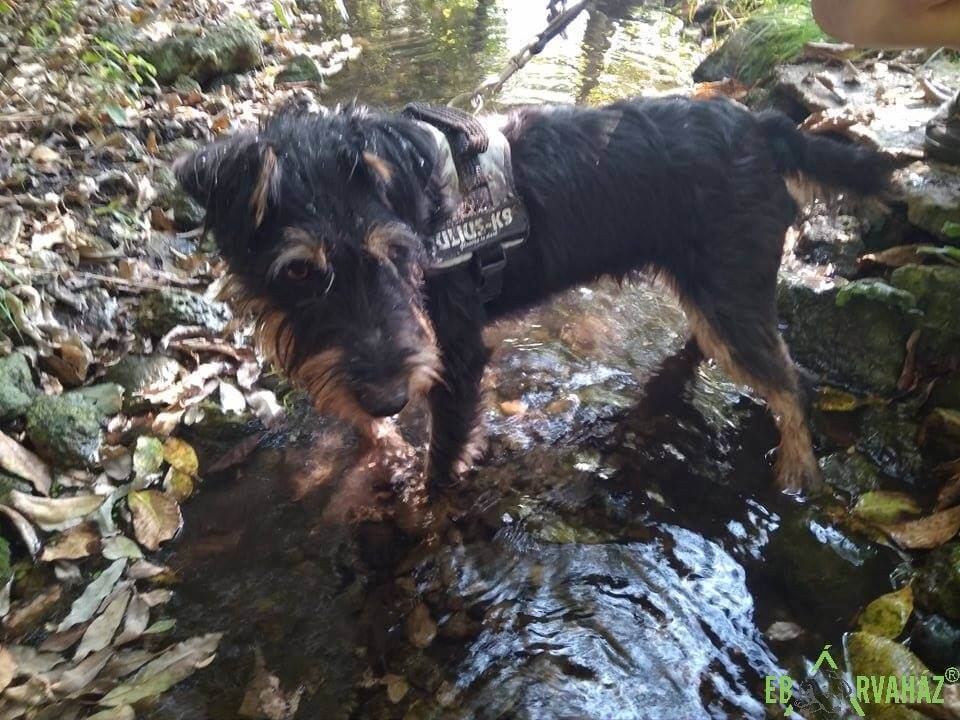 41991783_1122311007922451_5546601412655316992_n