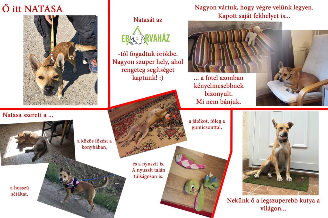 42171873_1123344174485801_135251642592264192_o