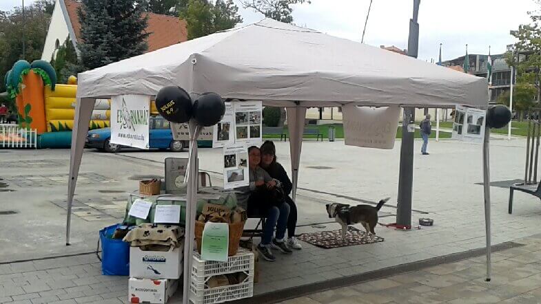 42385549_2231719757103327_2626776013681459200_n