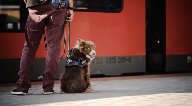 Bildschirmfoto-2018-09-03-um-13.02.16-800×445