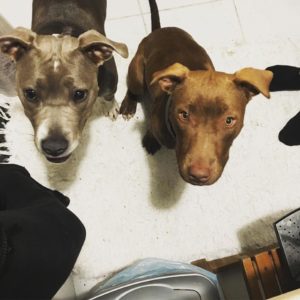 44135722_1146219738864911_6343097638795083776_n