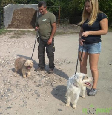 44295976_1147345125419039_3380667212216926208_n