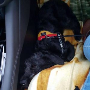 47323874_1178420382311513_3831630918506774528_n