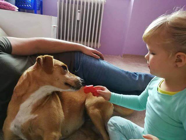 48056409_1185873004899584_3061777521260363776_n