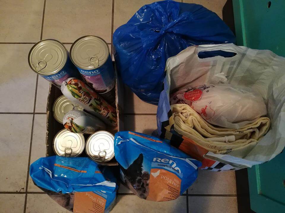 48277634_1187979418022276_8224938946811920384_n