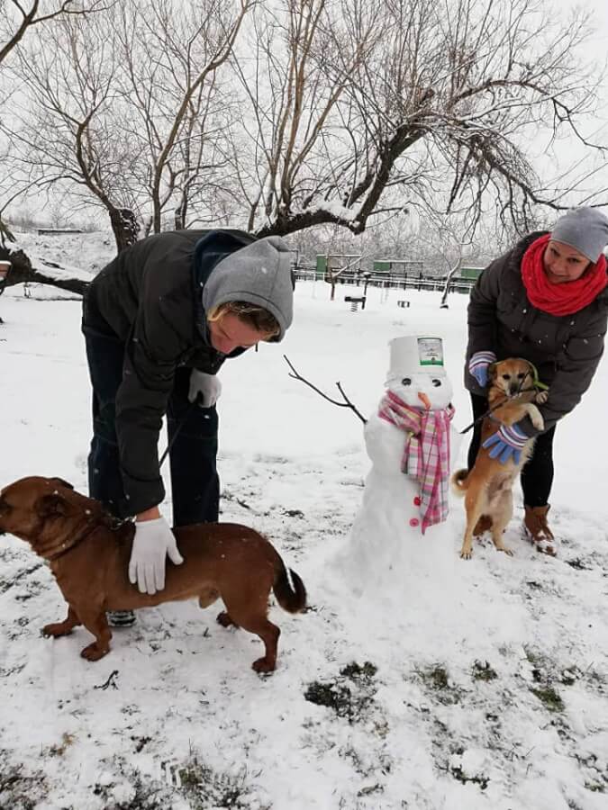 48376630_1188182711335280_7122058943689392128_n