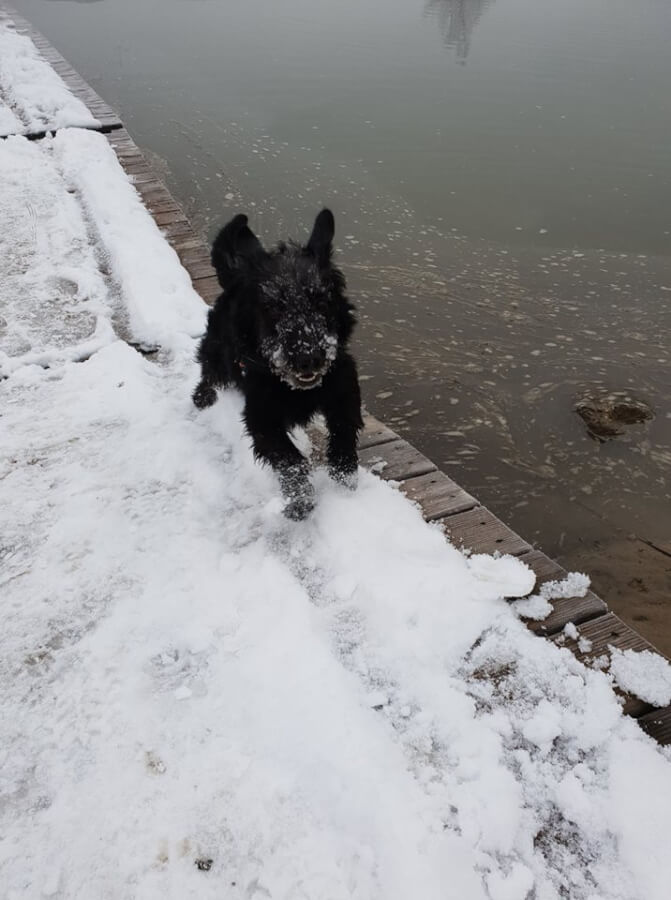 48423208_1195354823951402_3174625871407349760_n