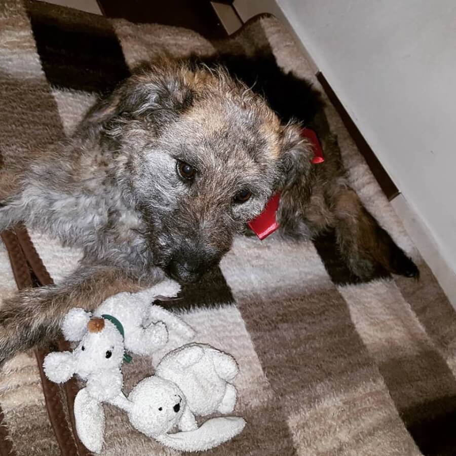 48982010_1195083010645250_5619244677023662080_n