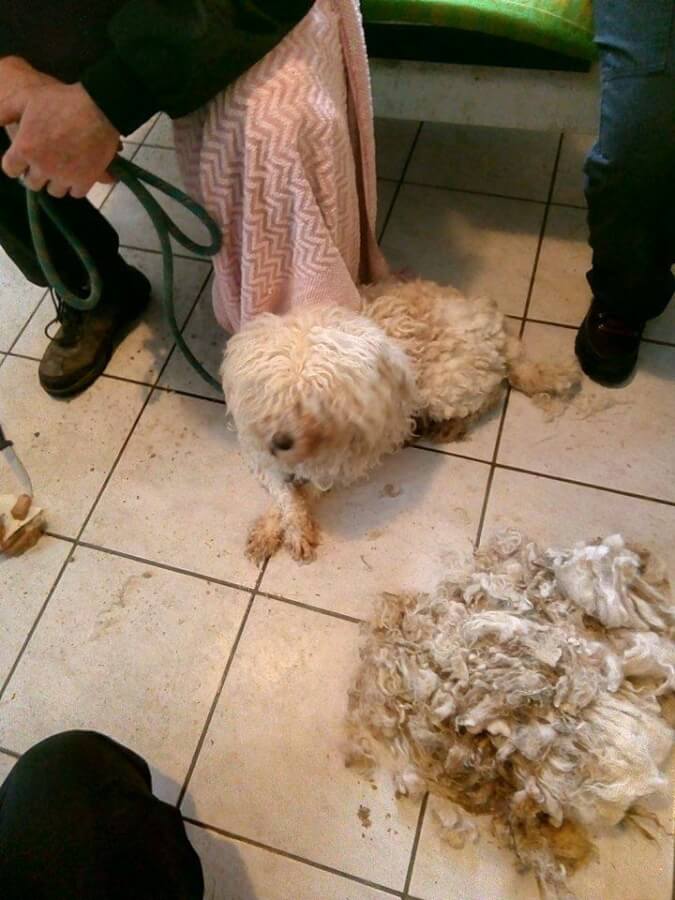 49539529_1204477979705753_1719507753434611712_n