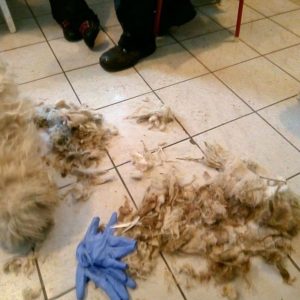 49566353_1204477673039117_8763101033355280384_n