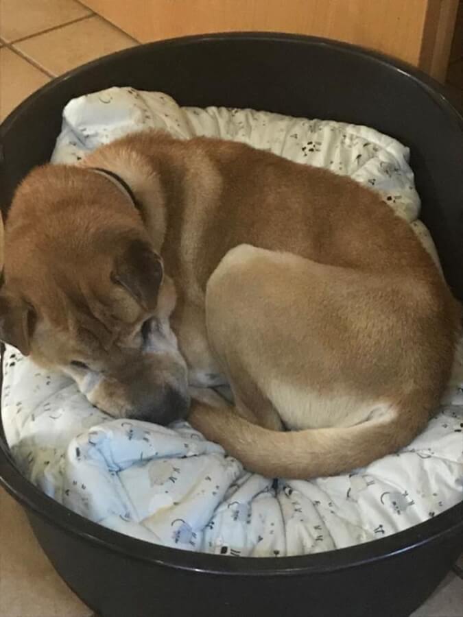 50826221_1214795435340674_2462677150231166976_n