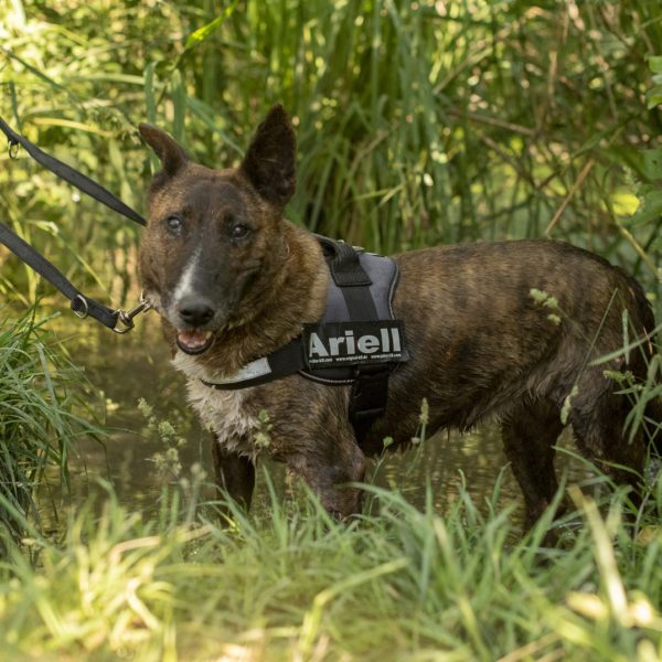 Ariell58_0 Ariell58_0
