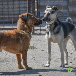 Elly-Jordan1 Elly-Jordan1