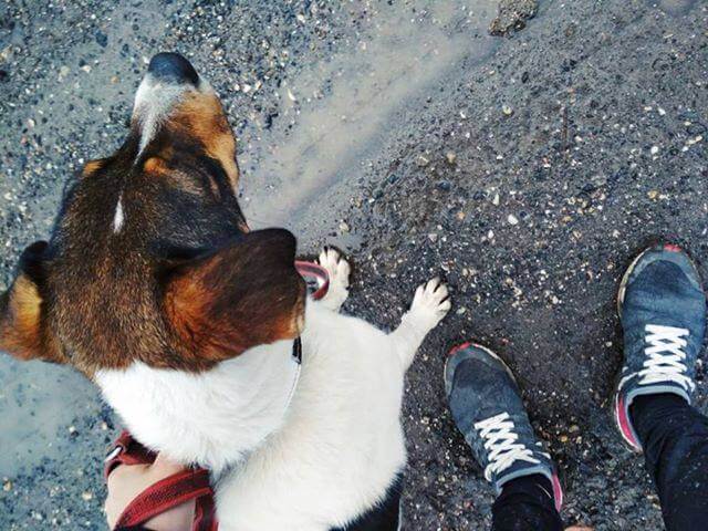 51236022_1222406954579522_3587874293049982976_n