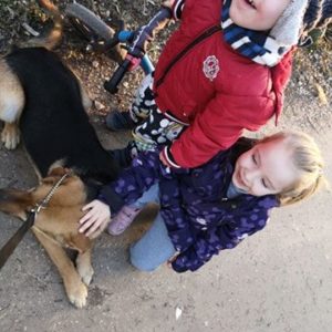 52303857_1231828743637343_7832229282117058560_n