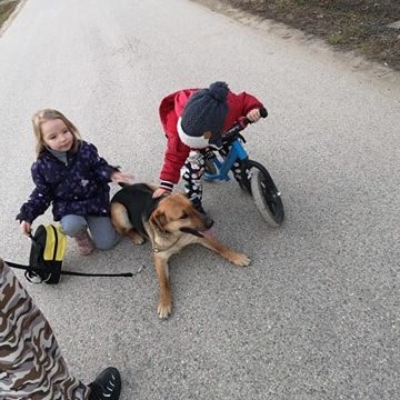 52582563_1231828736970677_728136749267550208_n