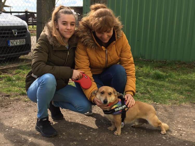 53788213_1247401902080027_8511807582107598848_n