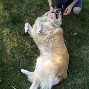 56157401_1253503818136502_2679951737485262848_n