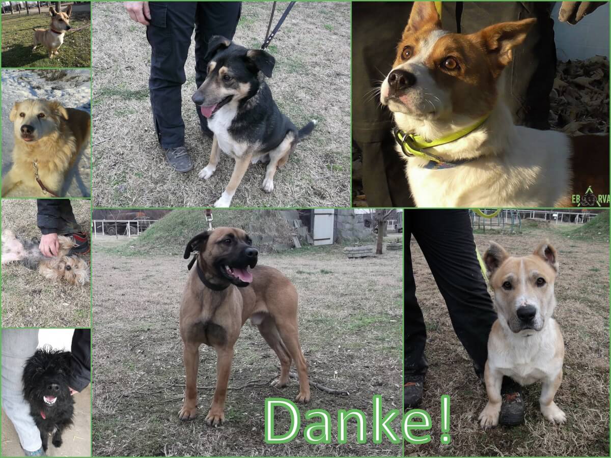 Danke_2019.02.