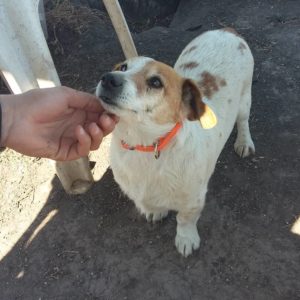 Jerry&Happy2 Jerry&Happy2