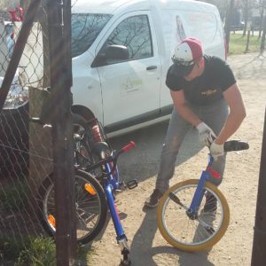 56119989_1257506877736196_5712670369014349824_o