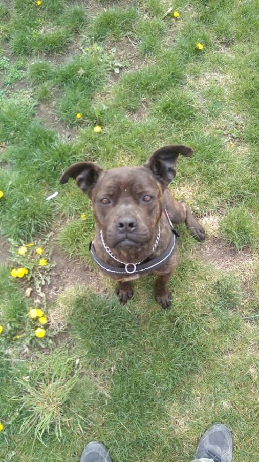 57584306_1272810842872466_6318019036990930944_n