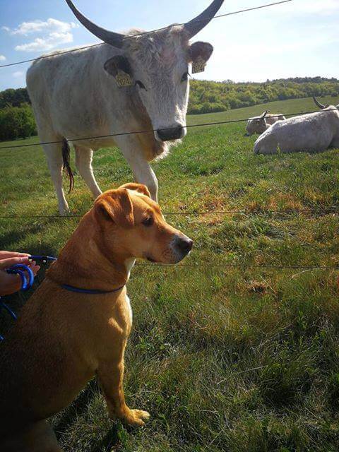 58373804_1272104296276454_945898544726802432_n (1)