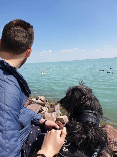 58376644_1274229036063980_5677741882487078912_n