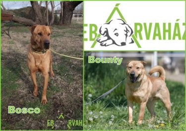 59791667_1283013085185575_9173551382588817408_n