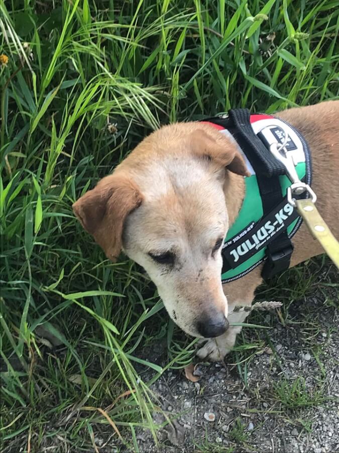 59892420_1281141208706096_7767056782647623680_n