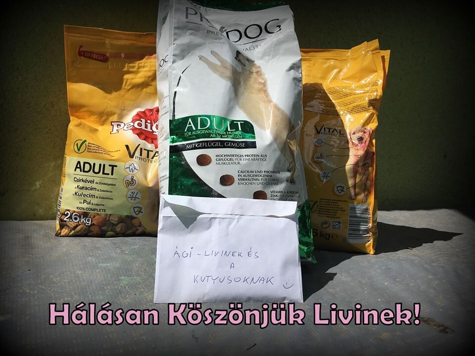 60097615_1281795905307293_7462114834776064_n