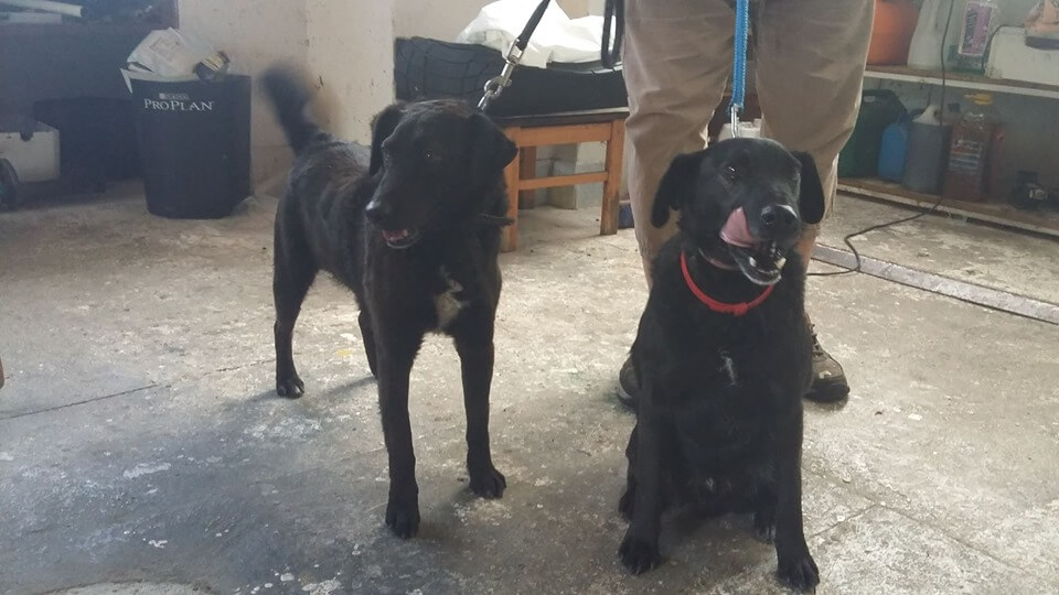 60492130_1286088031544747_1608285636819681280_n