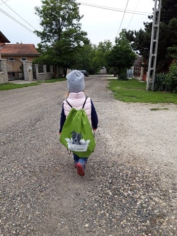 61420762_1296677007152516_8267175968733396992_n