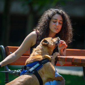 A62U3016_2 A62U3016_2