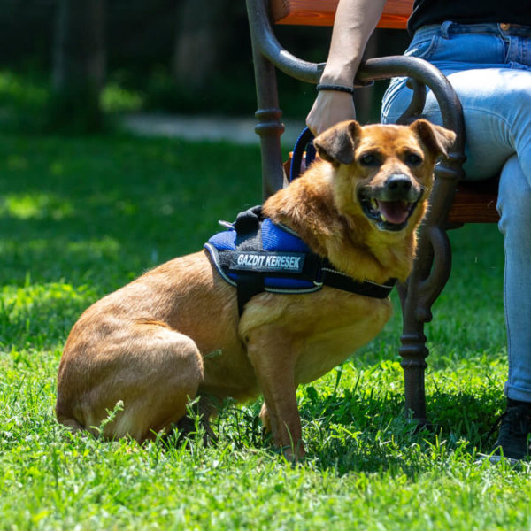 borito_johnny_2 borito_johnny_2