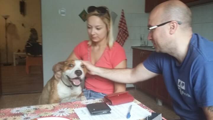 61369511_1718803354931368_277853133869154304_n