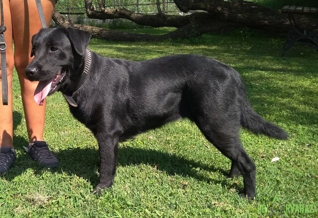 61676717_1300470783439805_7976360825428377600_n