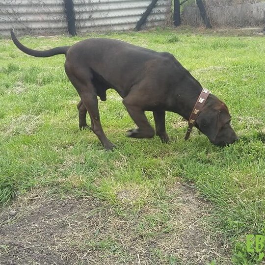 61953247_1304396919713858_1121656947305611264_n