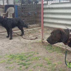 61972199_1304396833047200_3825367133907320832_n