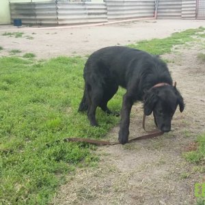 62005633_1304396926380524_3248348671510577152_n