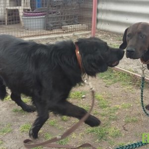 62053831_1304396836380533_7267968736605241344_n