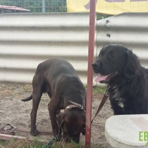 62461522_1304396823047201_3676320365597949952_n