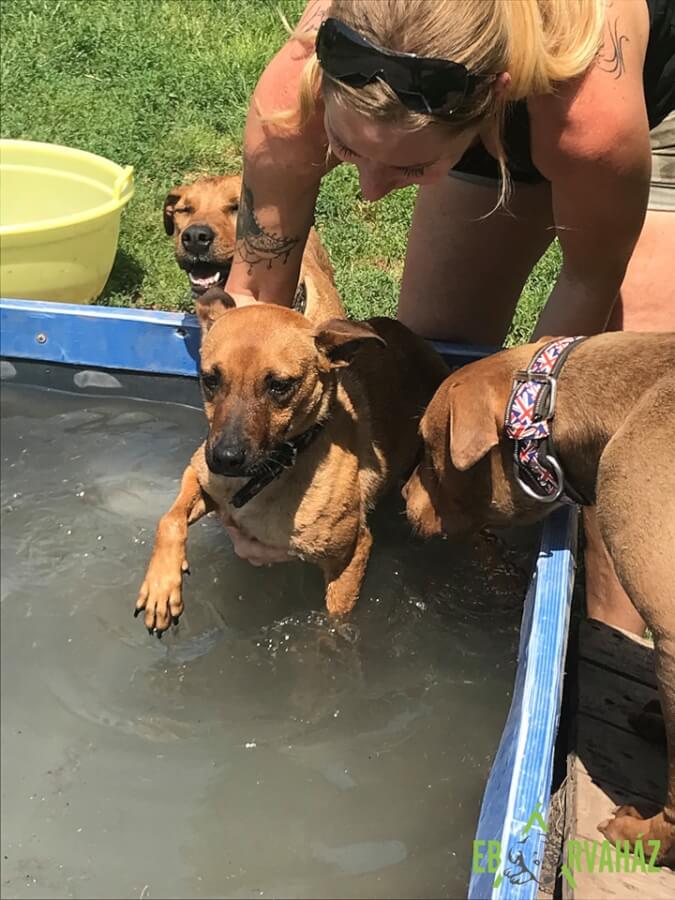 64230015_1309865305833686_3323428251782610944_n