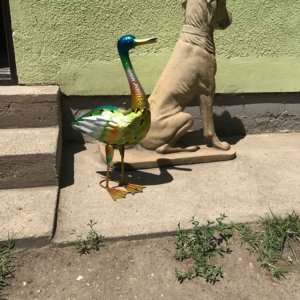 65234470_1322448347908715_6235526549324431360_n