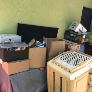 65634111_1322447871242096_5022034387957448704_n