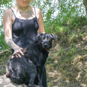 Blacky2 másolata Blacky2 másolata