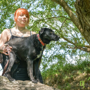 Blacky3 másolata Blacky3 másolata